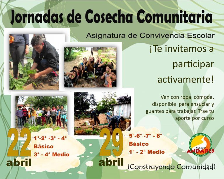 Jornadas de cosecha comunitaria en Colegio Andares